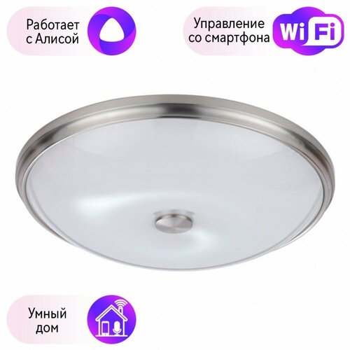 Настенно-потолочный светильник Pelow Odeon Light с поддержкой Алиса 49575-A 13824₽