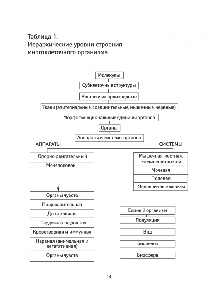 Карманный справочник по биологии для 6-11 классов - фото №12