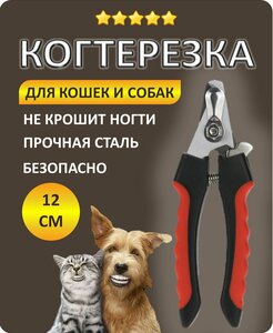 Основная фотография от вендора