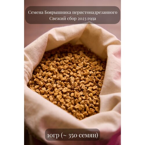 Семена Боярышника перистонадрезанного, 10 грамм (примерно 350 шт)
