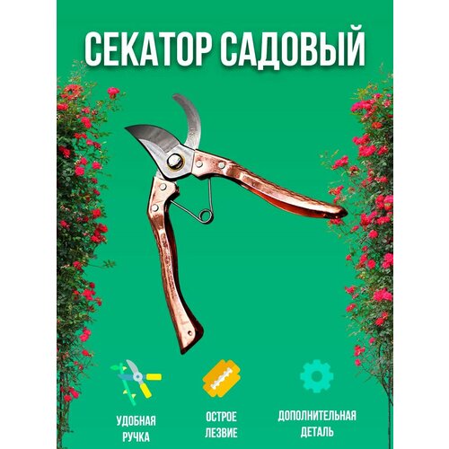 Секатор садовый сталь профессиональный для сада и огорода 680₽