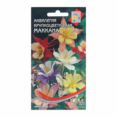 Семена цветов Аквилегия крупноцветковая Маккана, 50 шт