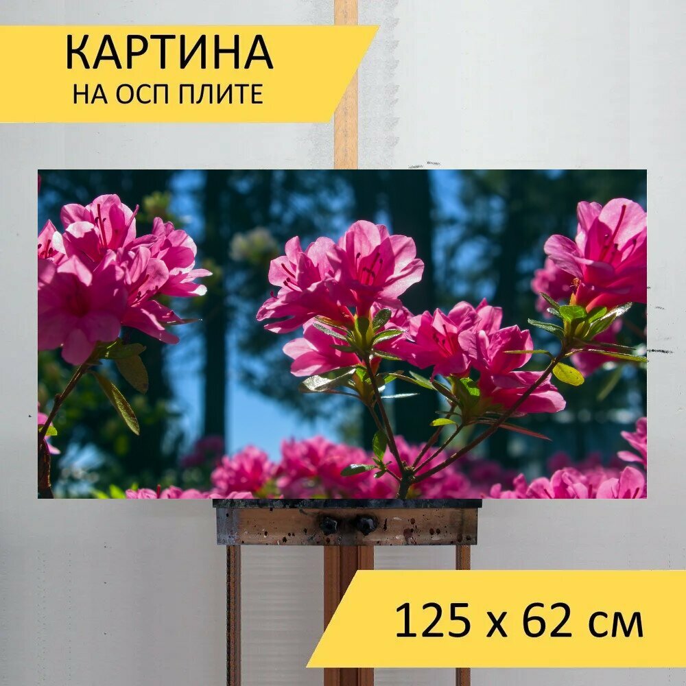 Картина на ОСП 125х62 см. 