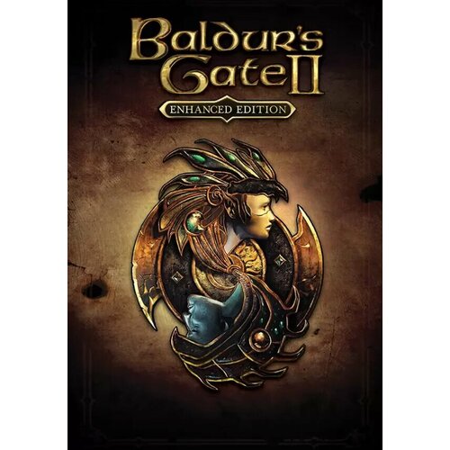 Baldur's Gate II: Enhanced Edition (Steam; PC; Регион активации все страны)