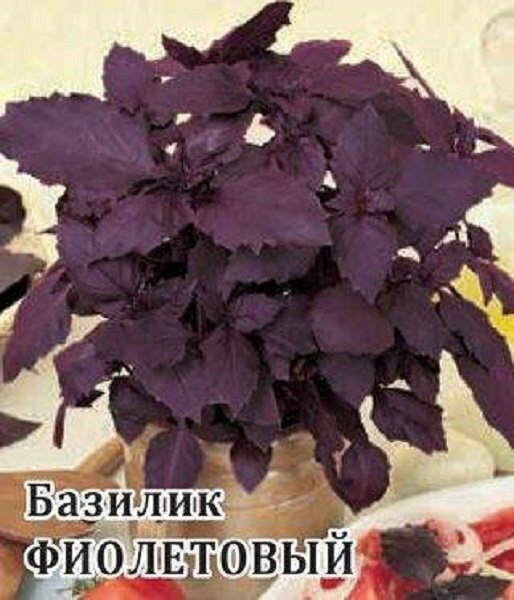 Семена Базилик Фиолетовый, 10г, Гавриш, Фермерское подворье, 2 пакетика