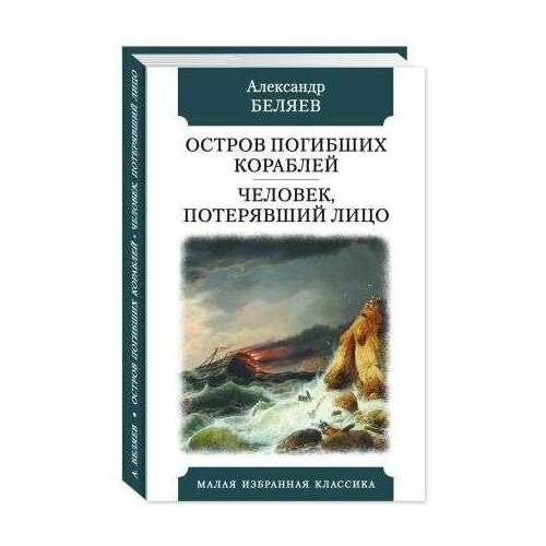 Книга Мартин Остров погибших кораблей. Человек, потерявший лицо. 2023 год, А. Беляев