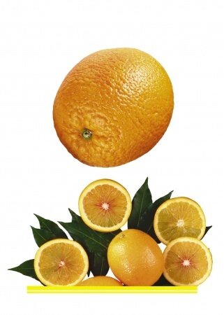 Комплект демонстрационных и раздаточных карточек "Фрукты" — фото 1