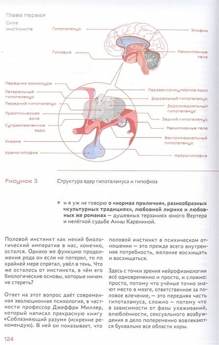 Стратегическое мышление в бизнесе. Технология "Векторное кольцо" - фото №13