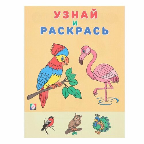 Узнай и раскрась «Фламинго» книга фламинго узнай и раскрась бычок