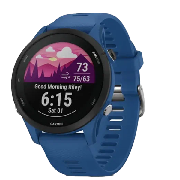 Garmin Умные часы Garmin Forerunner 255 (010-02641-11), синий