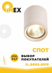 Спот потолочный IMEX IL.0005.5015, белый
