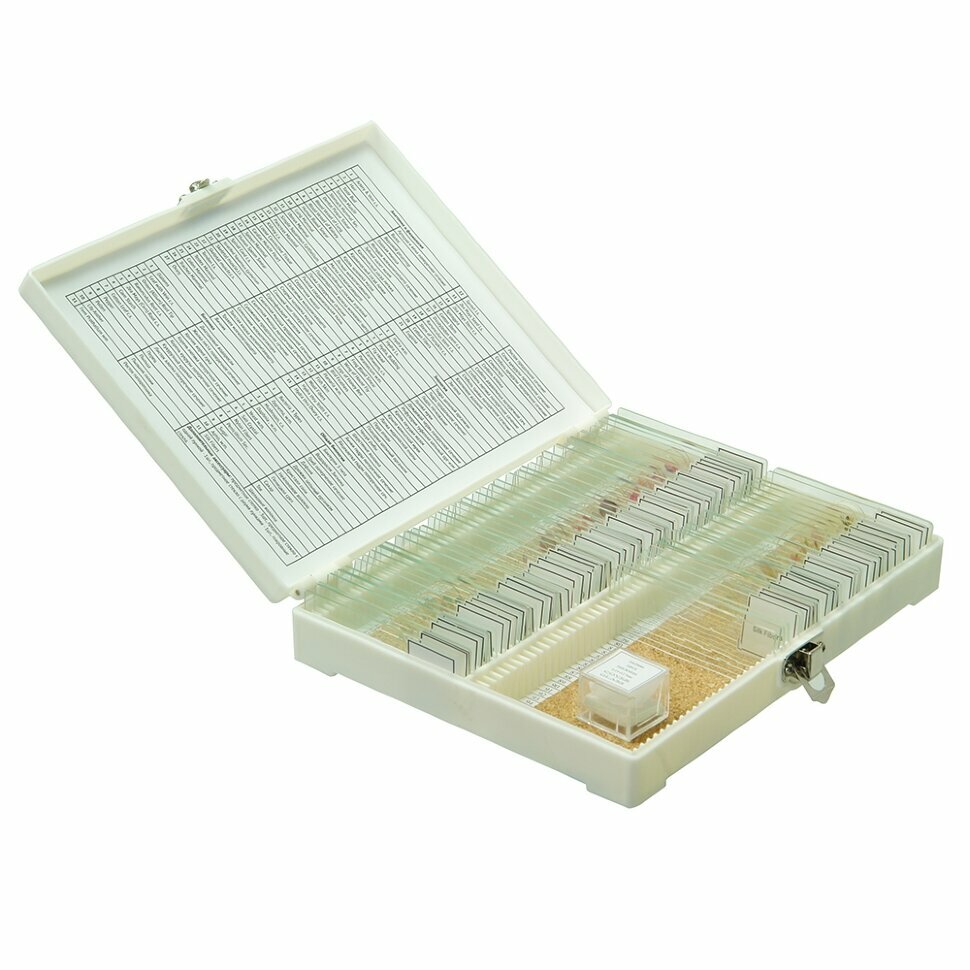 Набор готовых микропрепаратов Микромед №80 — фото 1