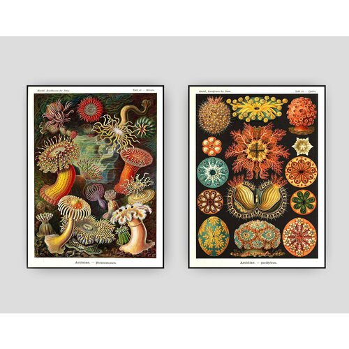 Набор постеров 