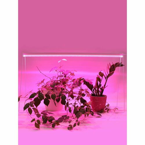 Светодиодный линейный светильник для растений GLANZEN RPD-0900-14-fito 824₽