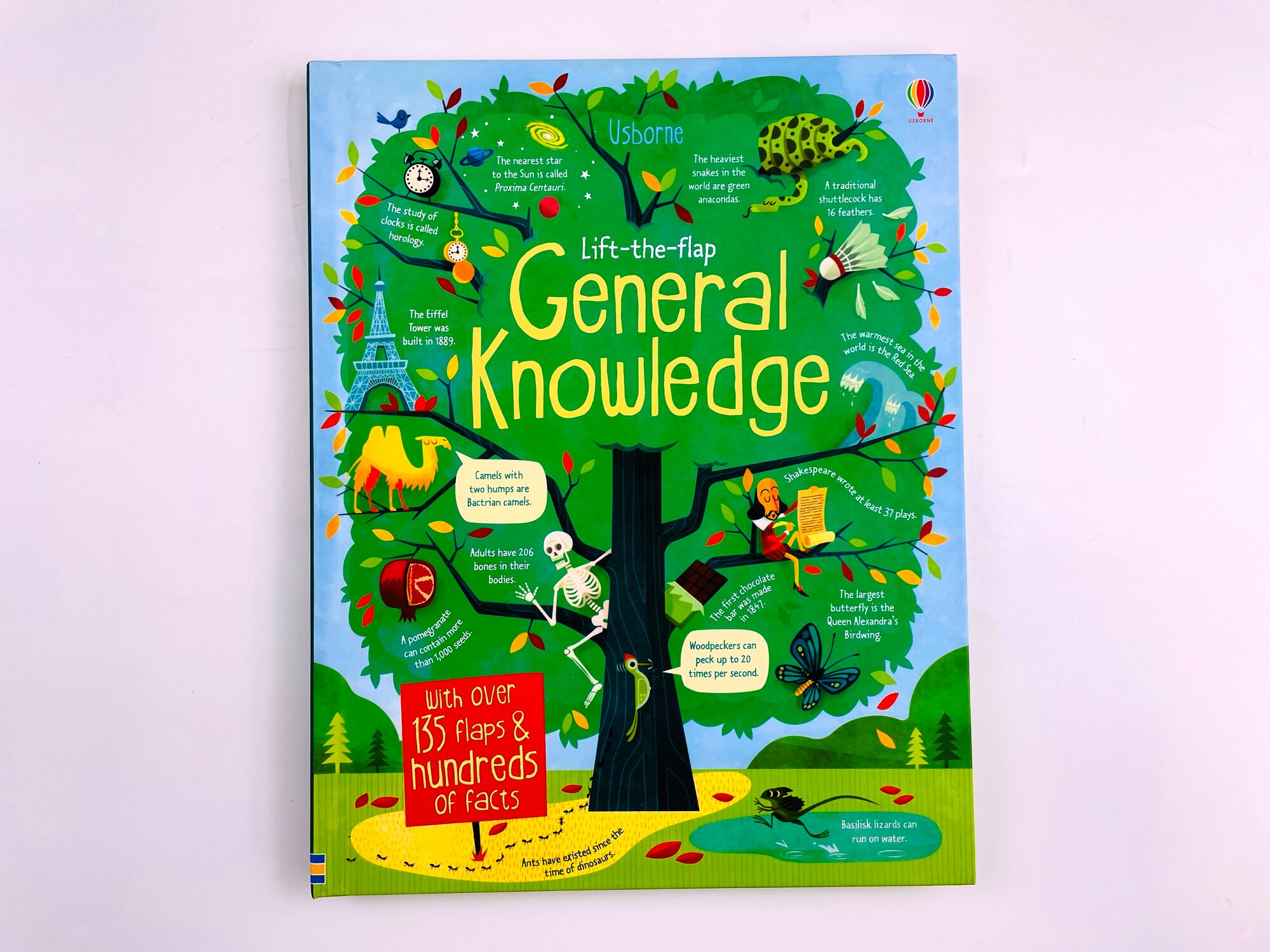 Usborne Lift-the-flap General Knowledge