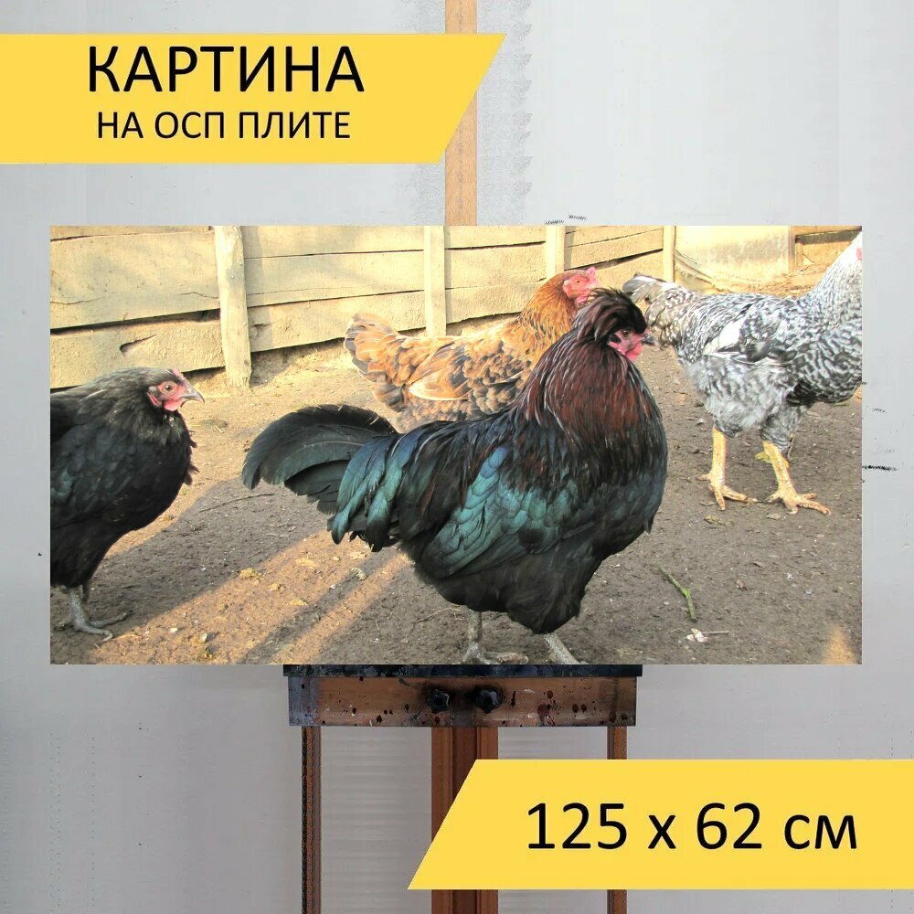 Картина на ОСП "Курятник, кур, птицы" 125x62 см. для интерьера на стену