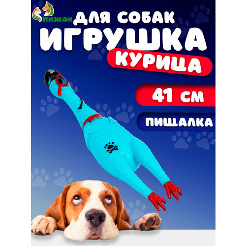 Игрушка пищащая Курица-пират для собак, 41 см, голубая