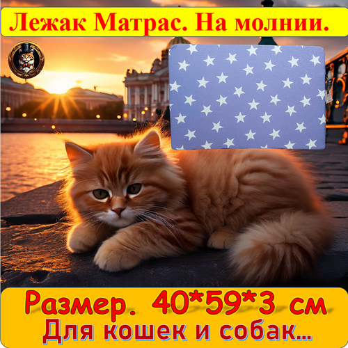 Лежак-матрас 60*40*3 см ГЮ-ВАС/ лежанка для больших и средних пород собак и кошек.
