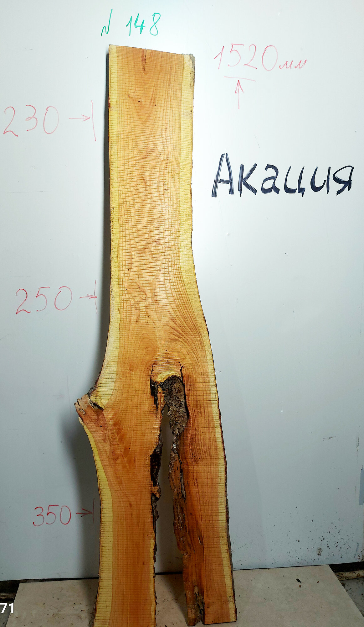 фото Слэб акации