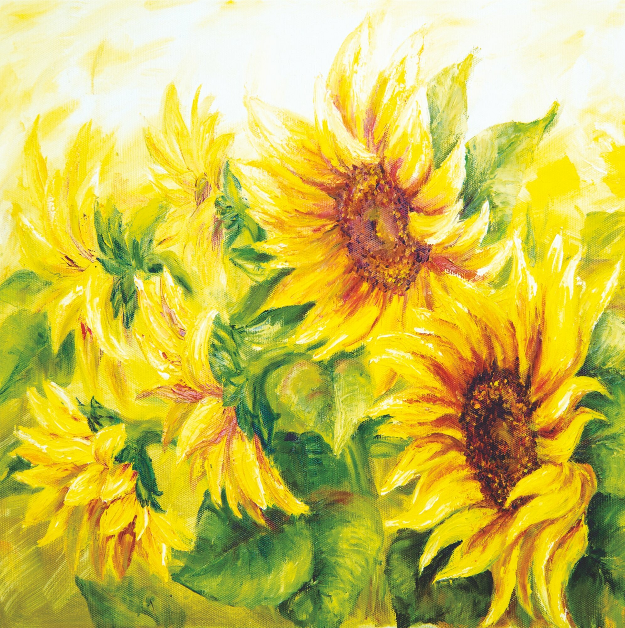 фото Фотообои Подсолнухи 210*200 см