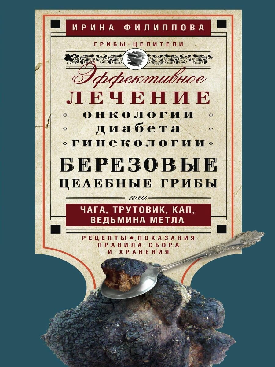 Березовые целебные грибы. Эффективное лечение онкологии, диабета, гинекологии... - фото №1