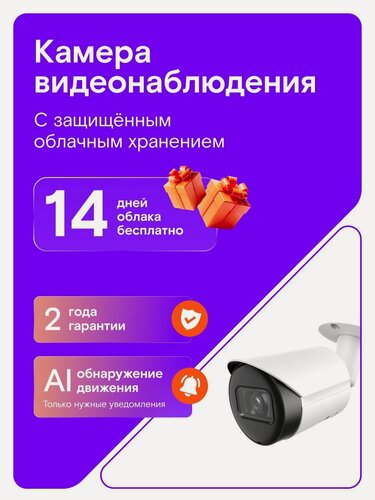 Изображение товара Камера видеонаблюдения уличная Ростелеком Switcam-B200, с ночной съемкой и обнаружением движения