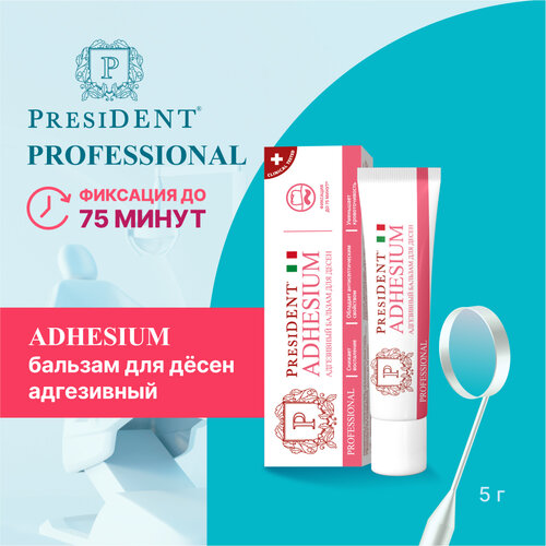 Адгезивный бальзам для десен PRESIDENT Professional ADHESIUM, 5 г