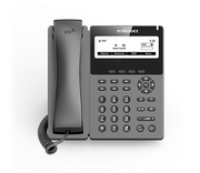 IP-телефон FLYINGVOICE P-22G, 2 SIP аккаунта, монохромный дисплей 3,5 дюйма, 384 x 160, (RJ9)/DECT, USB, Wi-Fi, POE, 1000 Mbps.