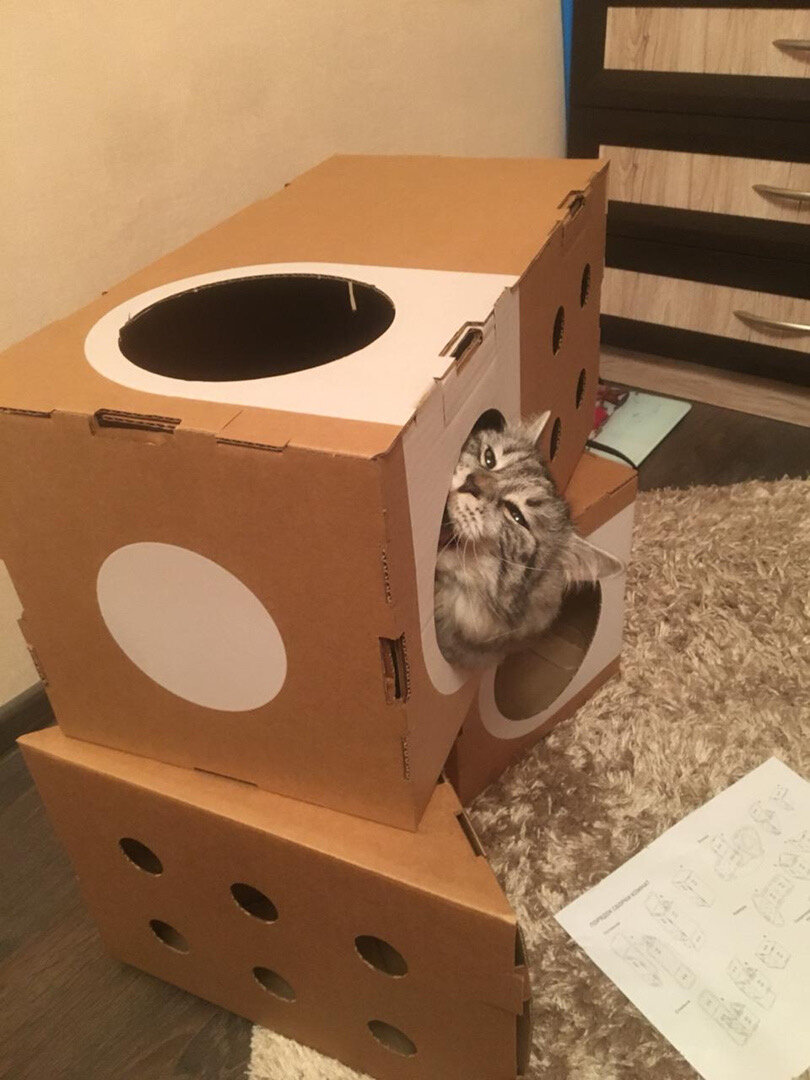 Набор домиков-коробок из картона для кошек - фотография № 10