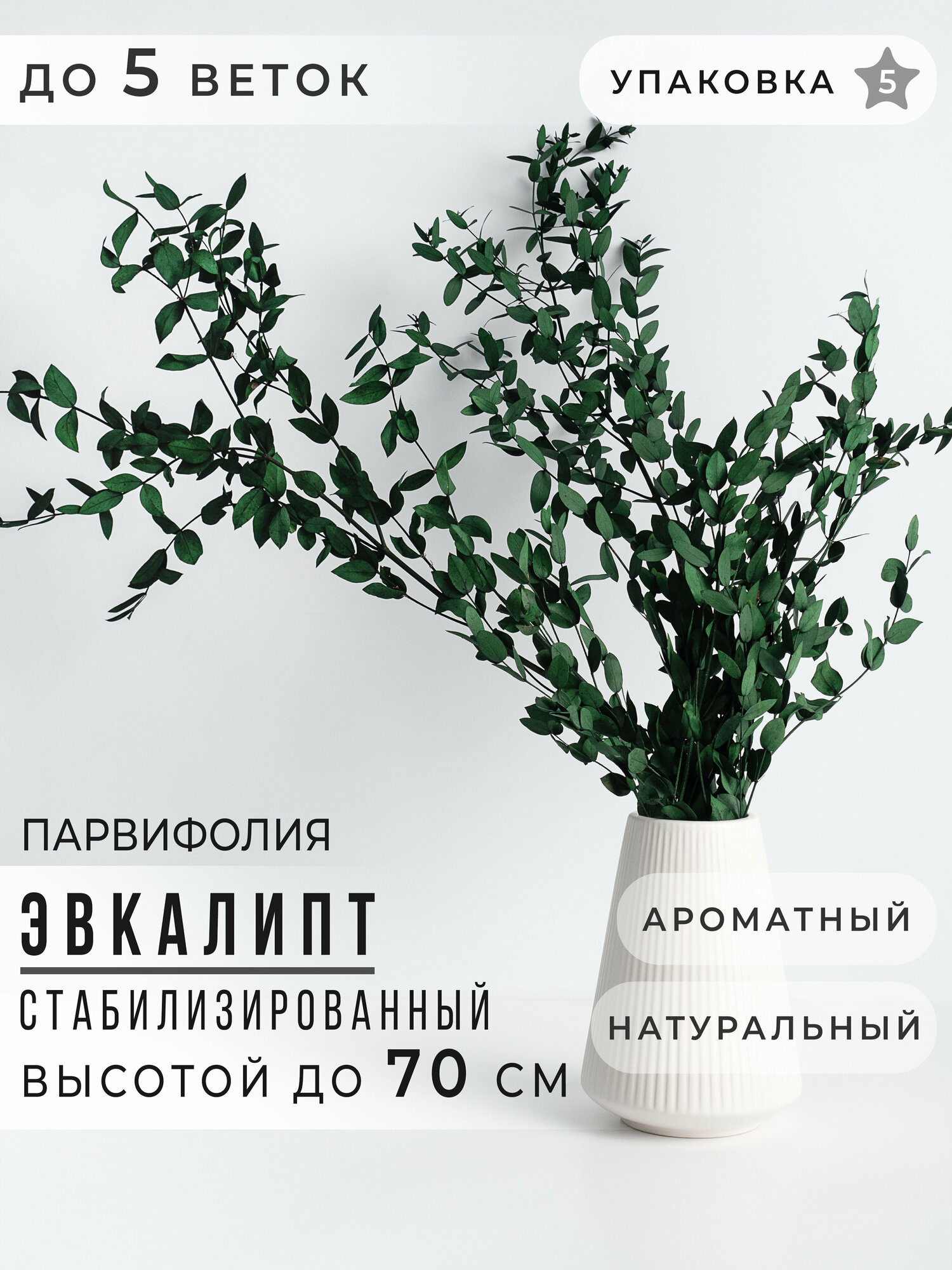 Сухоцвет Эвкалипт стабилизированный Парвифолия, Сухоцветы для декора ARANTA, Букет 70 см, 200 гр