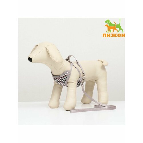 Комплект амуниции с мягкой шлейкой, поводок 1х120 см шлейка