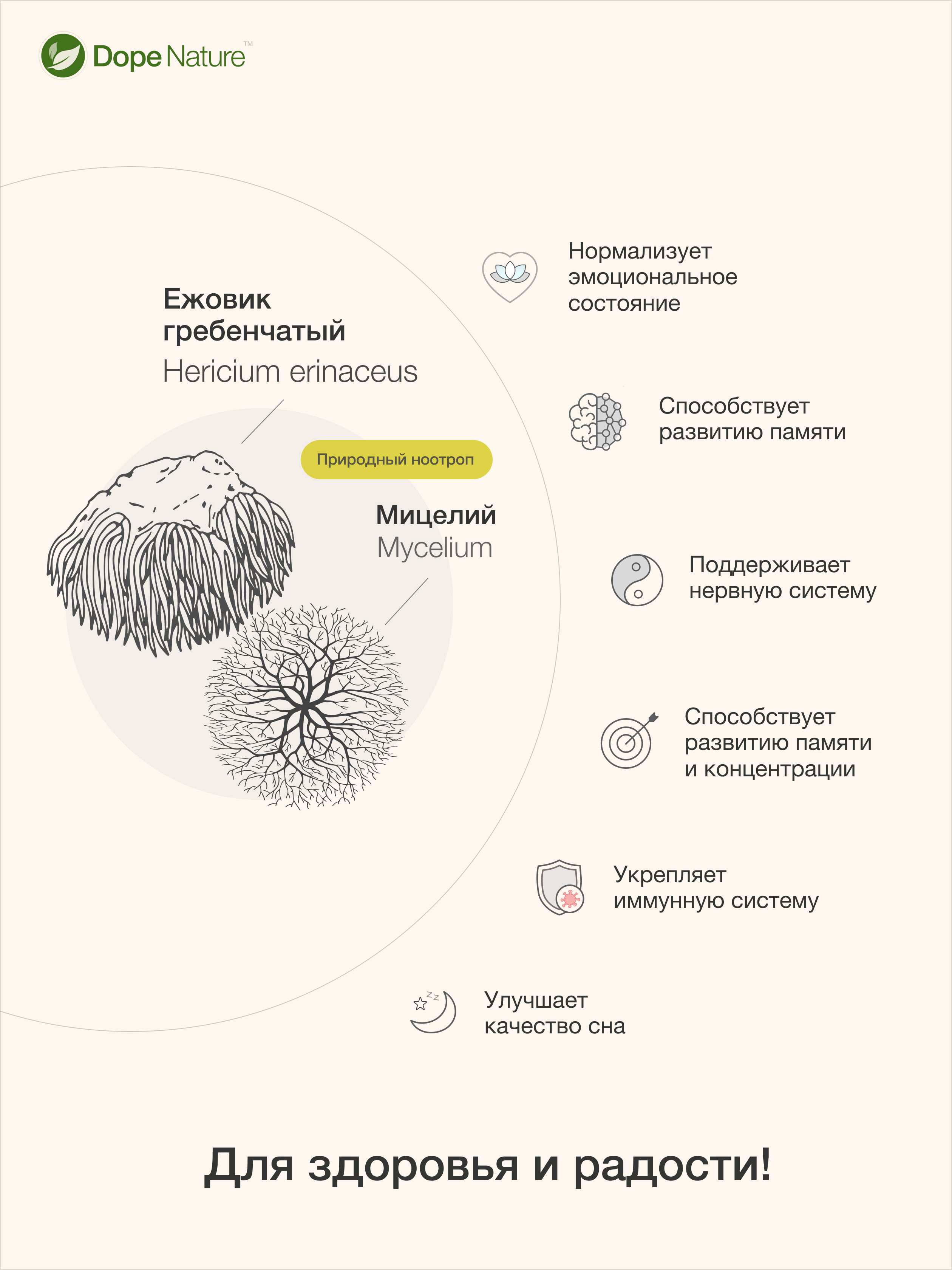 Ноотропы Ежовик гребенчатый + мицелий, в капсулах 120шт. Премиум от Dope Nature