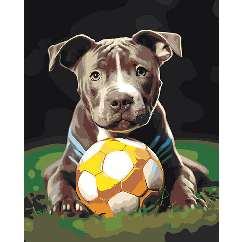 Картина по номерам на холсте Собака Стаффорд щенок 40x50 картина по номерам на холсте собака стаффорд арт 2 40x50