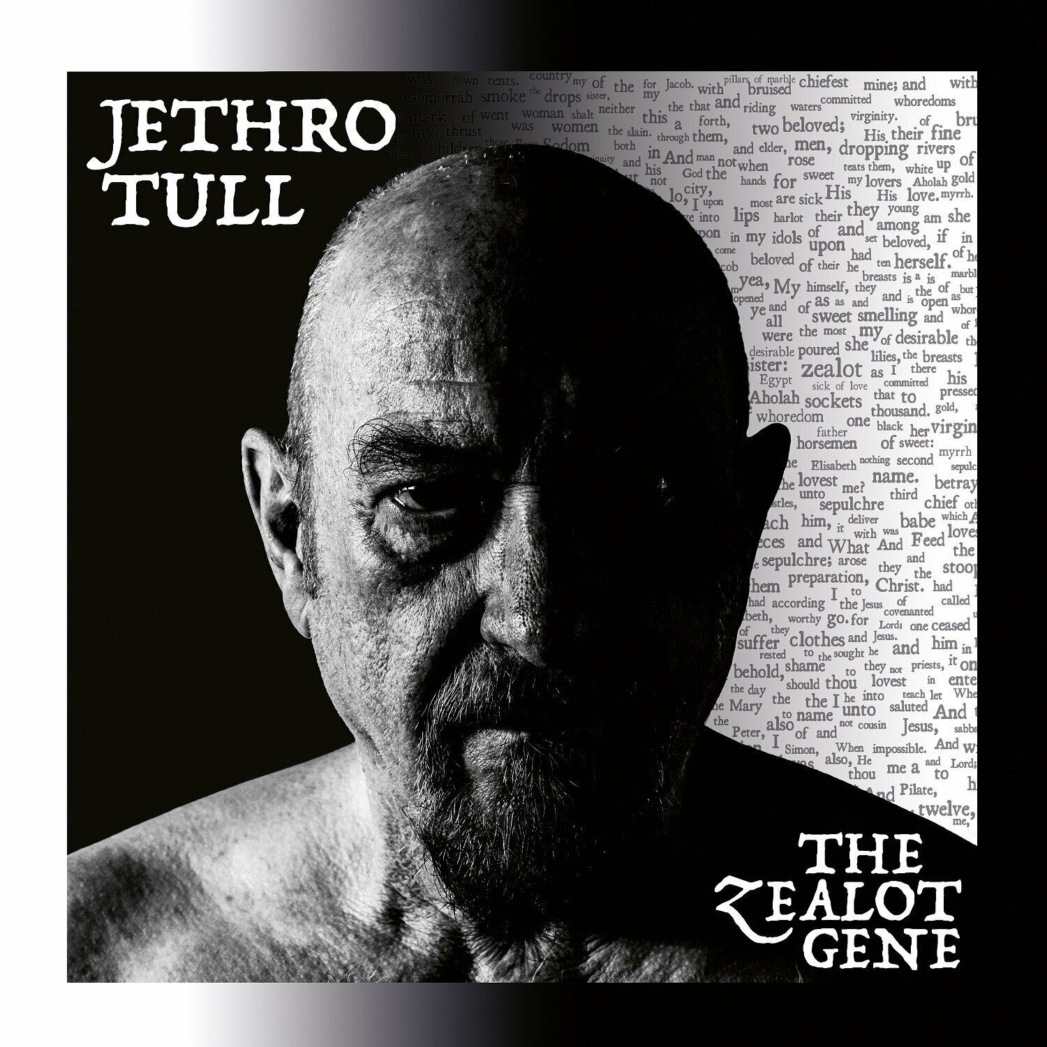 Виниловая пластинка Jethro Tull, The Zealot Gene (0194399271414) Sony - фото №16