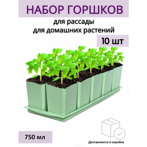 Горшки для рассады и цветов, горшок для цветов - 10 шт по 750 мл на общем поддоне, Мятный