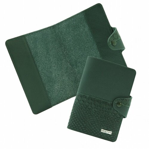Обложка для паспорта Cangurione, зеленый