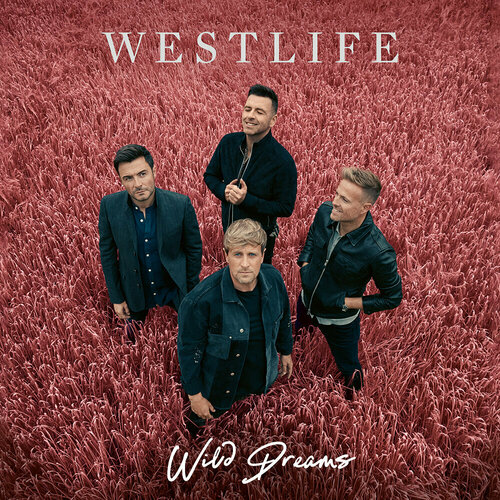 AUDIO CD Westlife - Wild Dreams. 1 CD (Deluxe Edition/Jewelbox/15 Tracks) jet shine on deluxe edition jewelbox cd