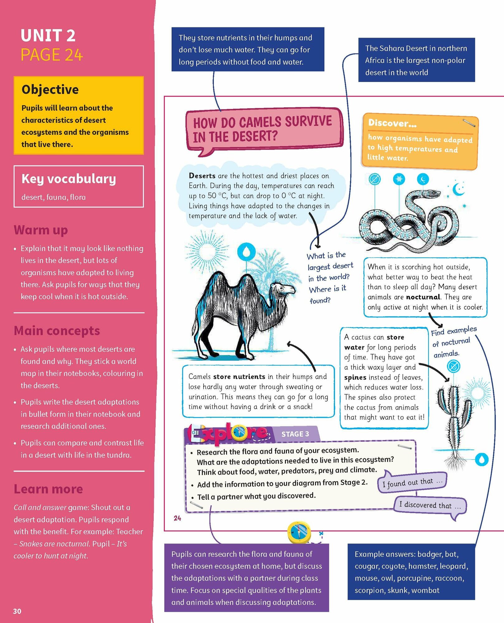 Churchill, Jocelyne "Science Skills 5 Teacher's Book" мелованная - фото №2