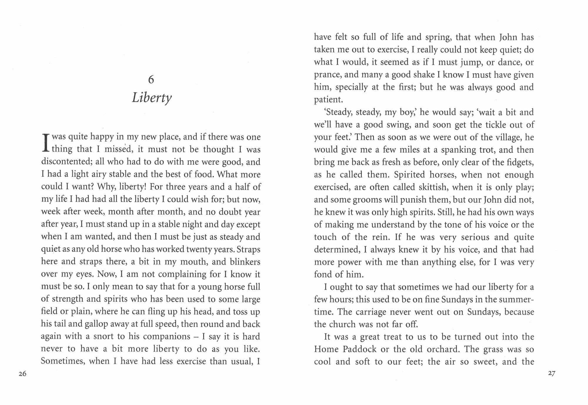 Black Beauty / Книга на Английском - фото №2