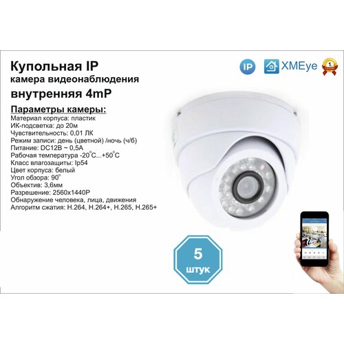 5шт DVW300IP4MP Внутренняя IP камера 4мП с ИК до 20м 1104000₽
