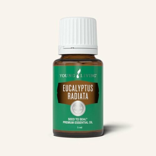 Янг Ливинг Эфирное масло Эвкалипт лучистый/ Young Iiving Eucalyptus Radiata Essential Oil, 5 мл