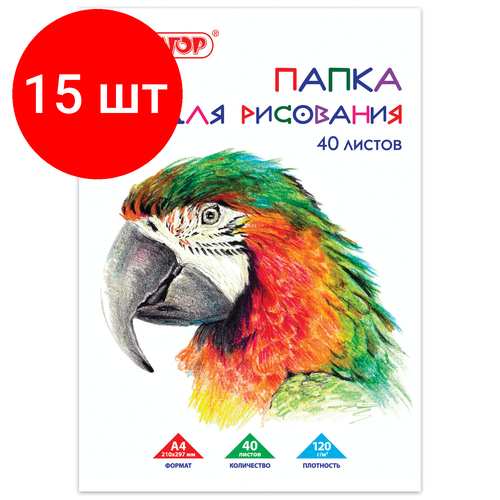 Комплект 15 шт, Папка для рисования, А4, 40 л, 120 г/м2, пифагор, 210х297 мм, Попугай, 129222