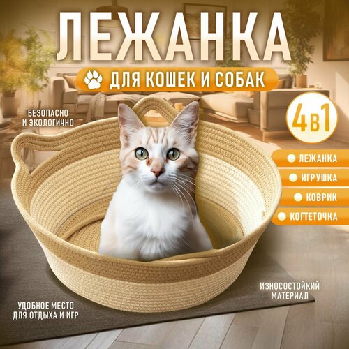 Лежанка с когтеточкой и игрушкой для кошек и собак