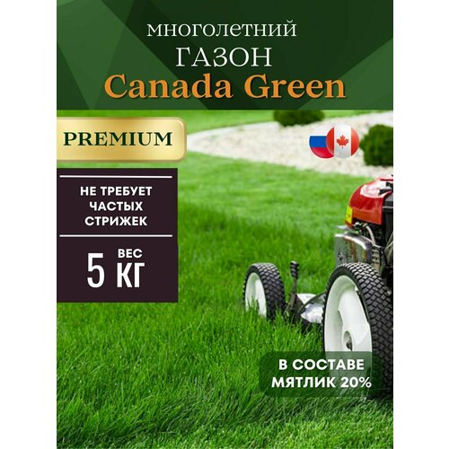 Газонная трава семена низкорослый 5 кг Canada Green Premium газонная трава семена канада грин премиальная 5 кг канада грин premium 5кг семена газона райграс мятлик овсяница
