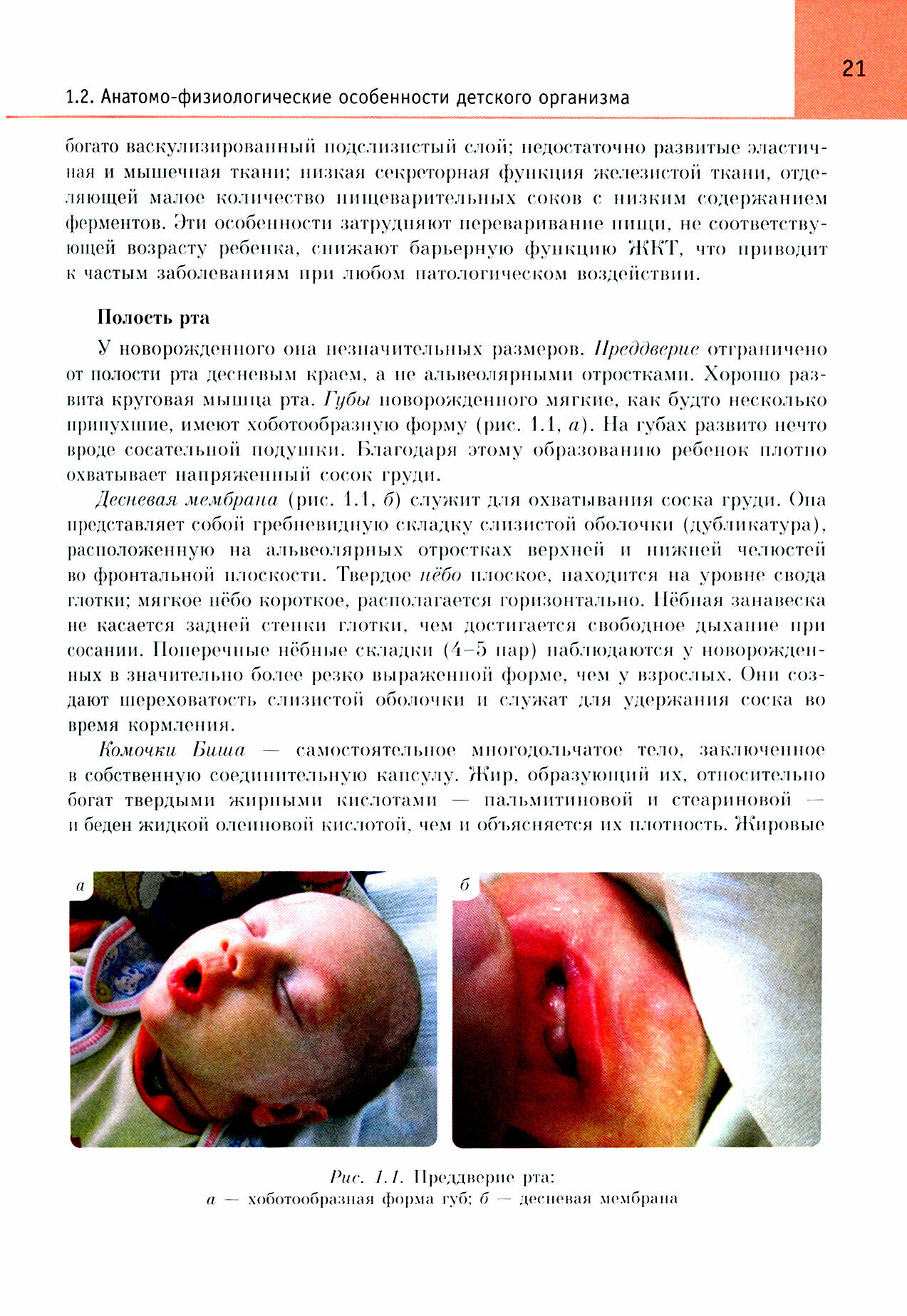 Детская хирургия. Учебник (Ковальчук Виктор Иванович) - фото №3