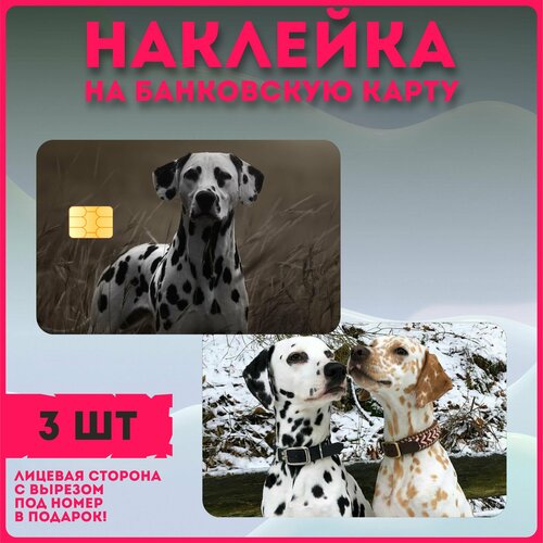 Наклейки на карту банковскую собака Долматинец