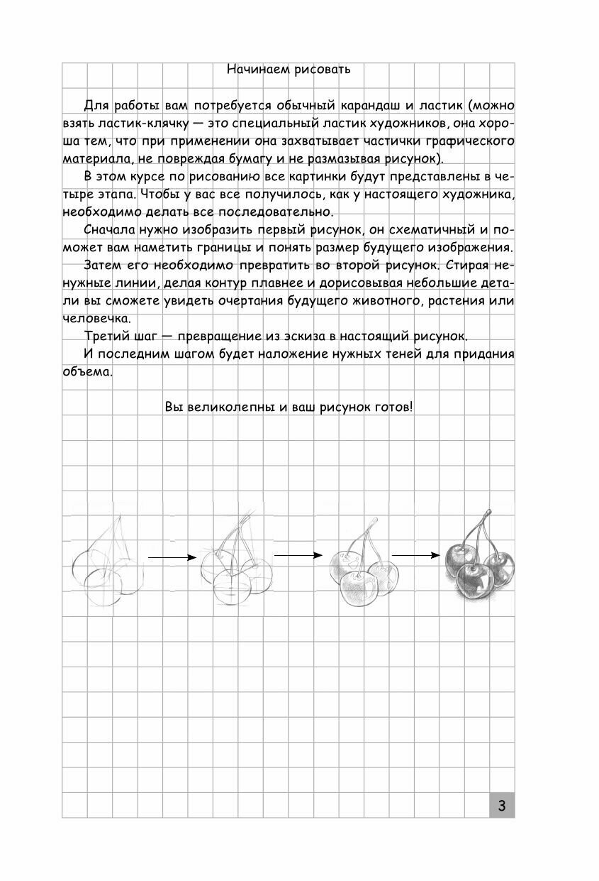 Творческий курс по рисованию. Анатомия человека - фото №17