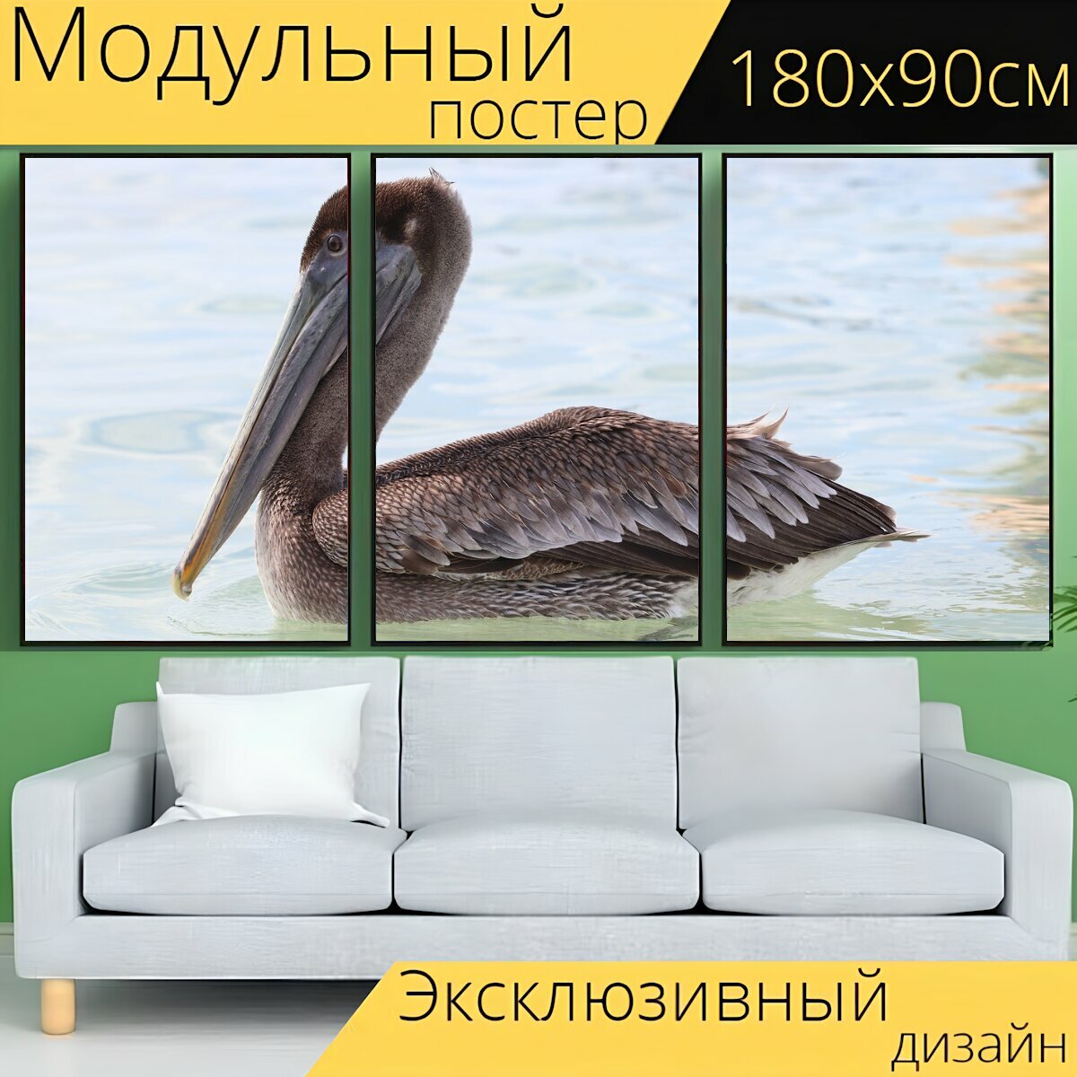 Модульный постер "Пеликан, птица, природа" 180 x 90 см. для интерьера