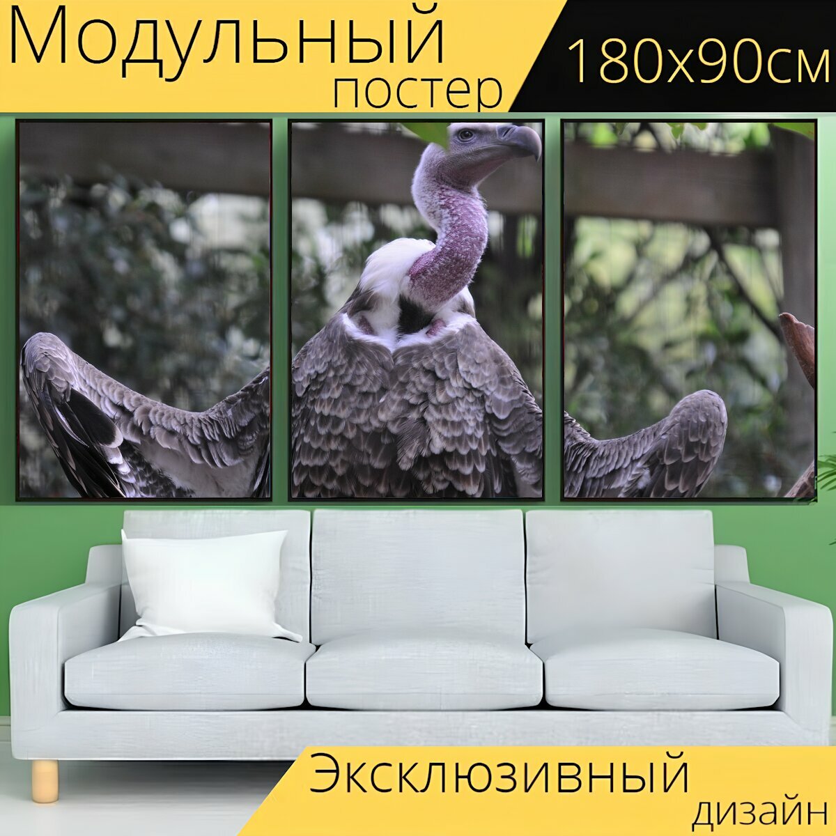 Модульный постер "Стервятник, птицы, стервятники" 180 x 90 см. для интерьера