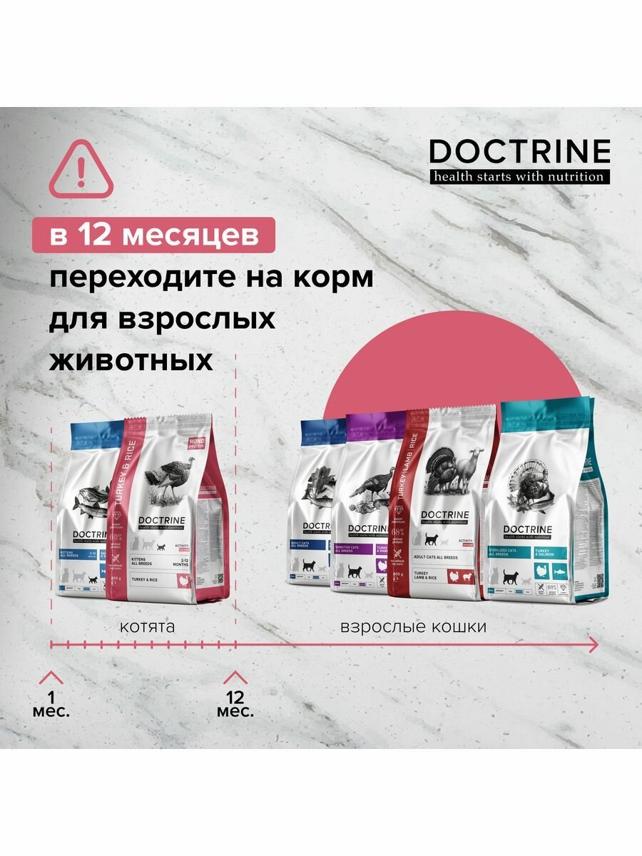 DOCTRINE сухой корм для котят с индейкой и рисом 0,8кг - фотография № 7